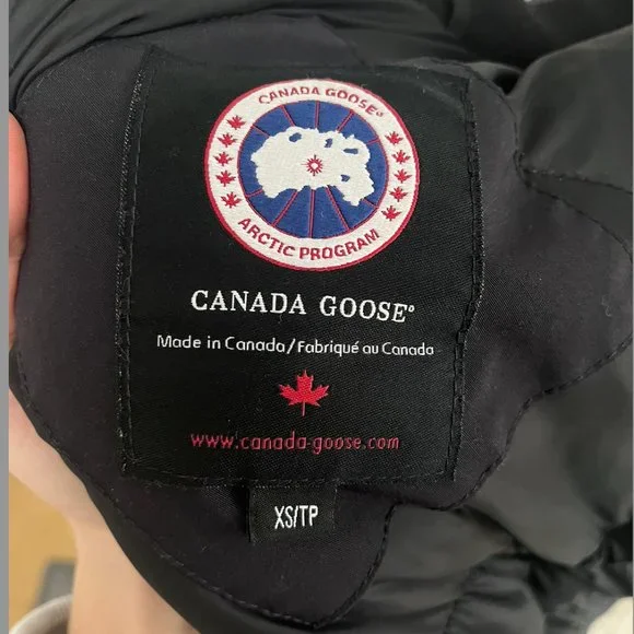 Canada goose - Picture 3 of 9